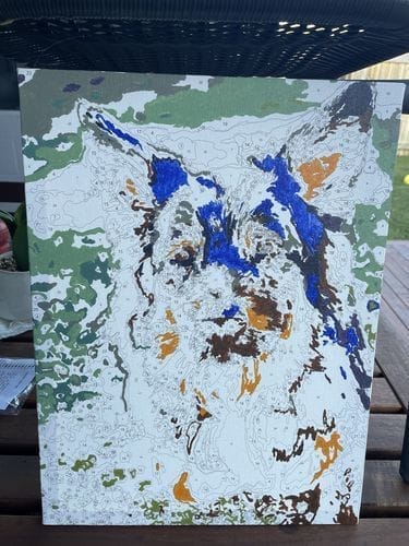 Customer photo review of Custom Paint by Numbers