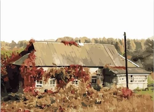 Customer photo review of Custom Paint by Numbers