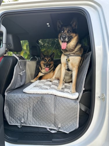 Customer photo review of Plush Backseat Dog Bed (Made For The Hard Bottom Car Seat Cover)
