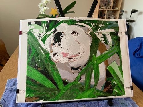 Customer photo review of Custom Paint by Numbers