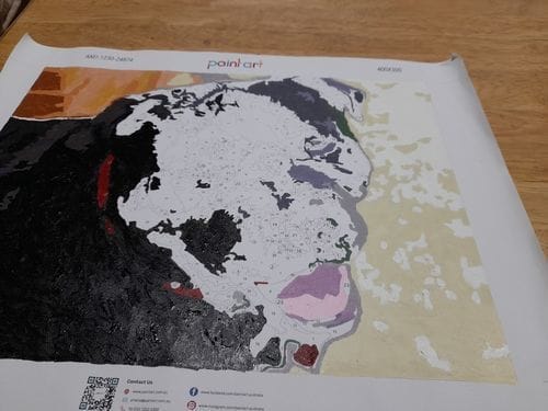 Customer photo review of Custom Paint by Numbers