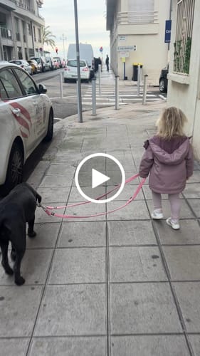 Customer video review of Training Double Ended Dog Lead | 2m Length -  Pink
