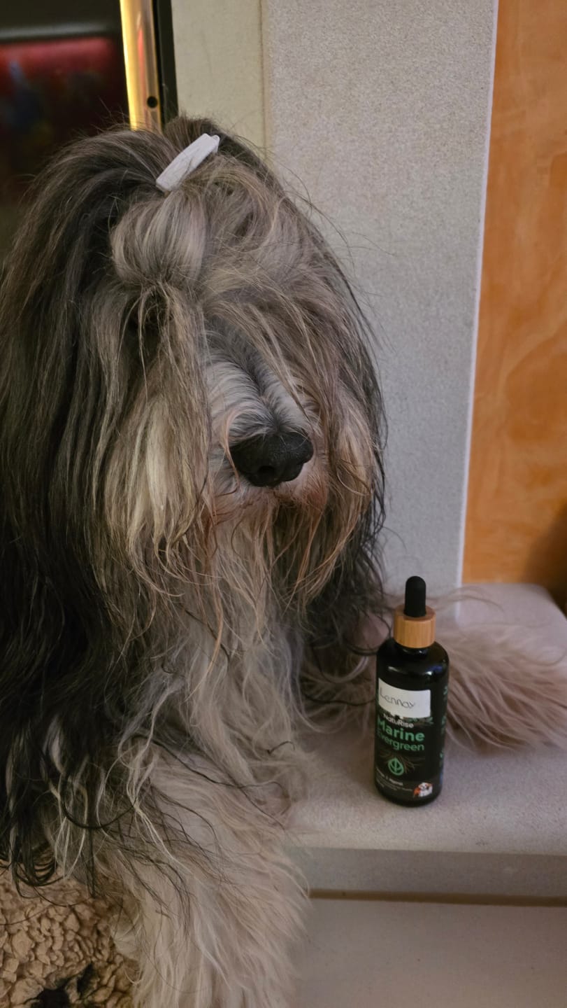 Customer photo review of Omega 3 Algenöl Haustiere