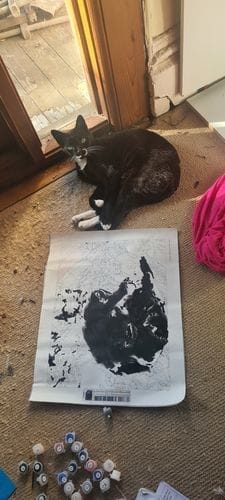 Customer photo review of Custom Paint by Numbers