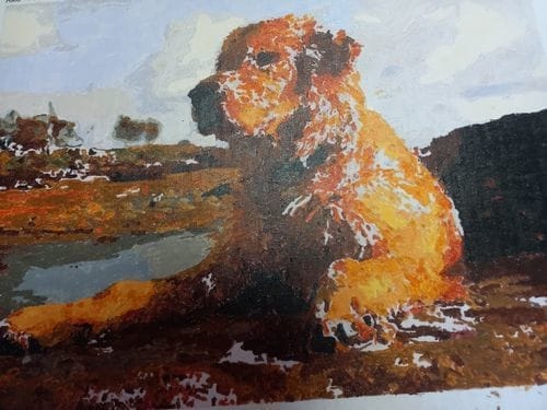 Customer photo review of Custom Paint by Numbers