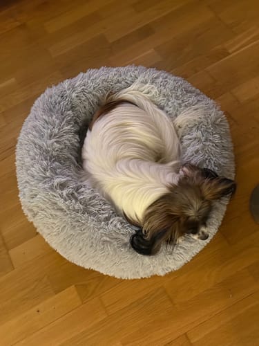 Customer photo review of CalmBed - Motverkar stress & hjälper mot ångest