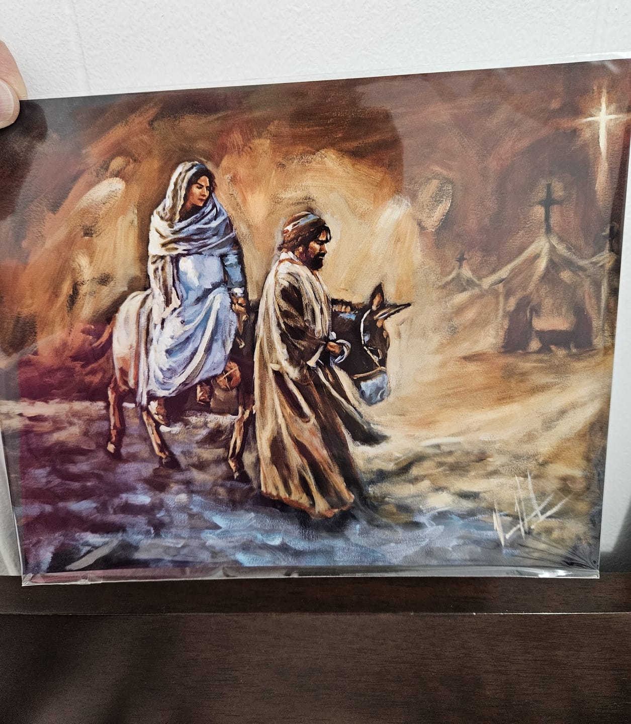 Customer photo review of Watcher of the Sparrow