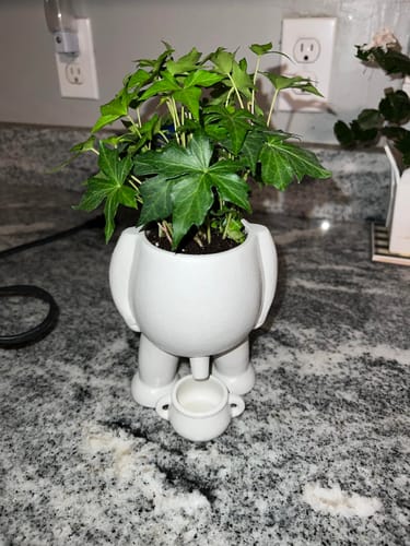 Customer photo review of Willy le pot