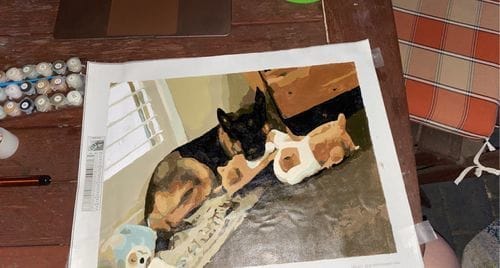 Customer photo review of Custom Paint by Numbers