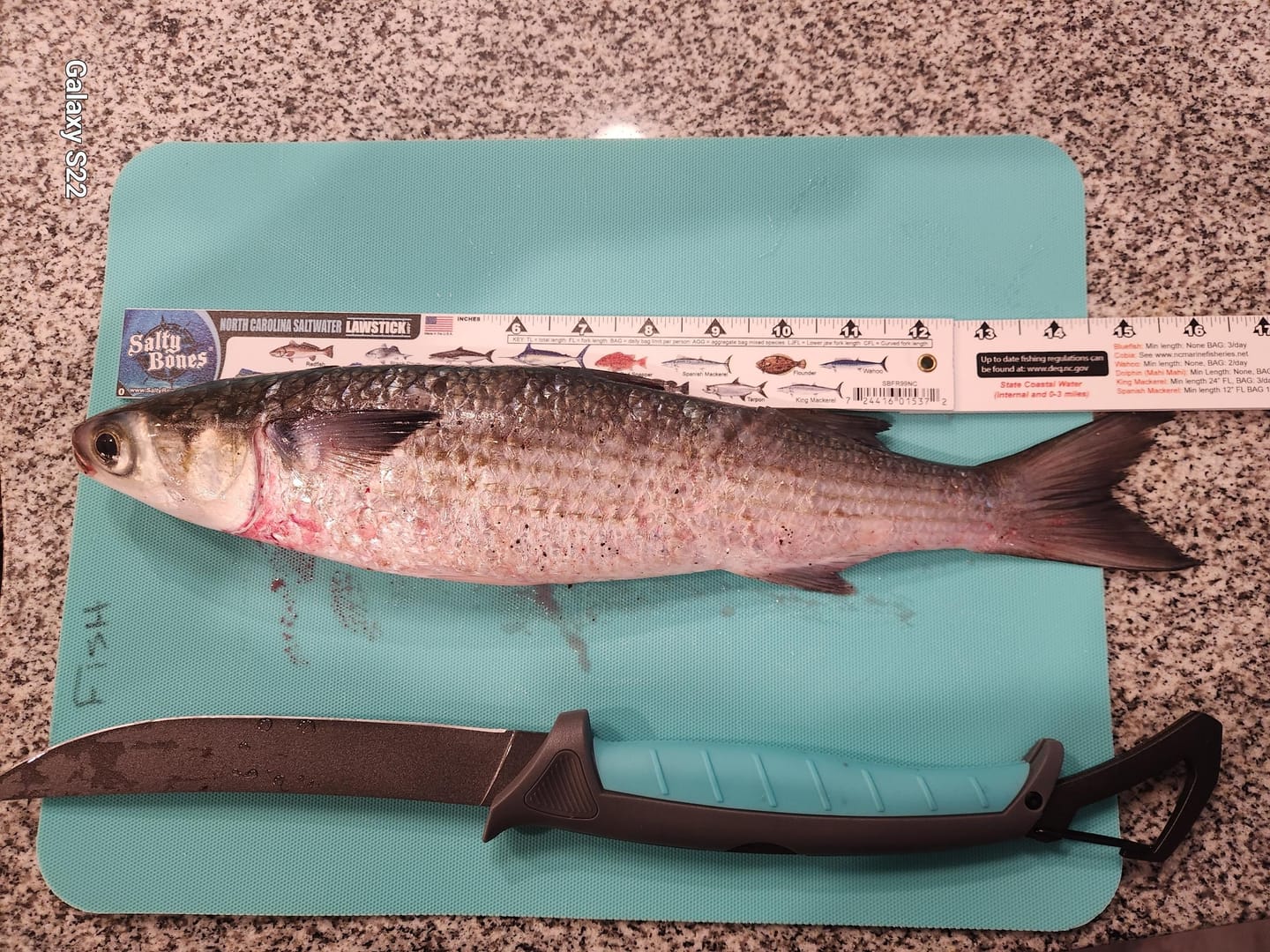 Customer photo review of Stowaway Folding Filet Knives