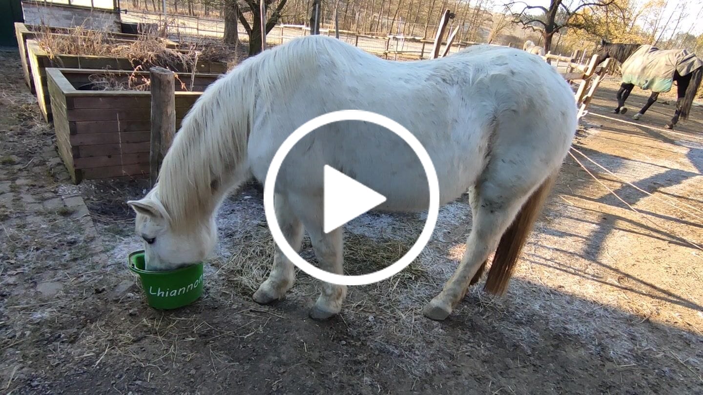 Customer video review of Agrobs Seniormineral 25 kg