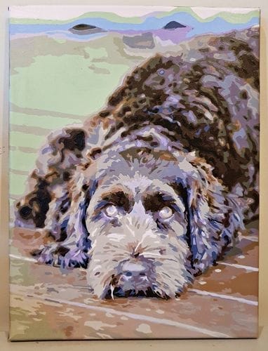 Customer photo review of Custom Paint by Numbers