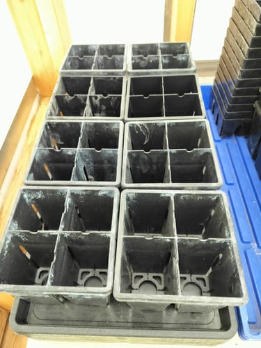 Customer photo review of Epic 4-Cell Seed Starting Trays