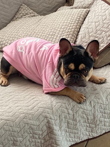 Customer photo review of Felpa "Adidog" Rosa Personalizzabile con nome