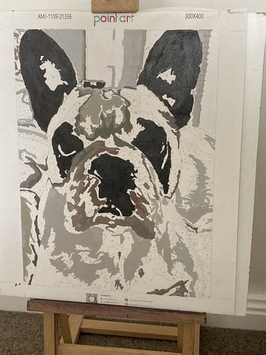 Customer photo review of Custom Paint by Numbers