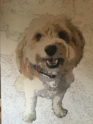 Customer photo review of Custom Paint by Numbers