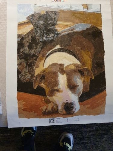 Customer photo review of Custom Paint by Numbers