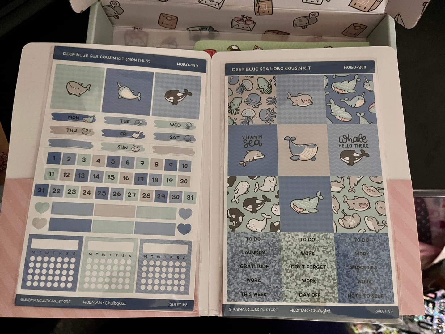 Customer photo review of Deep Blue Sea Theme Hobonichi Cousin Monthly Kit (Set of 2)