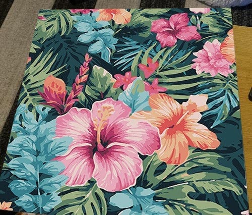 Customer photo review of Hula Hues (Paint by Numbers)