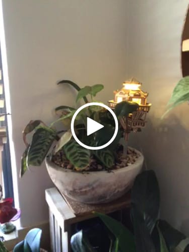 Customer video review of USB LED Lights