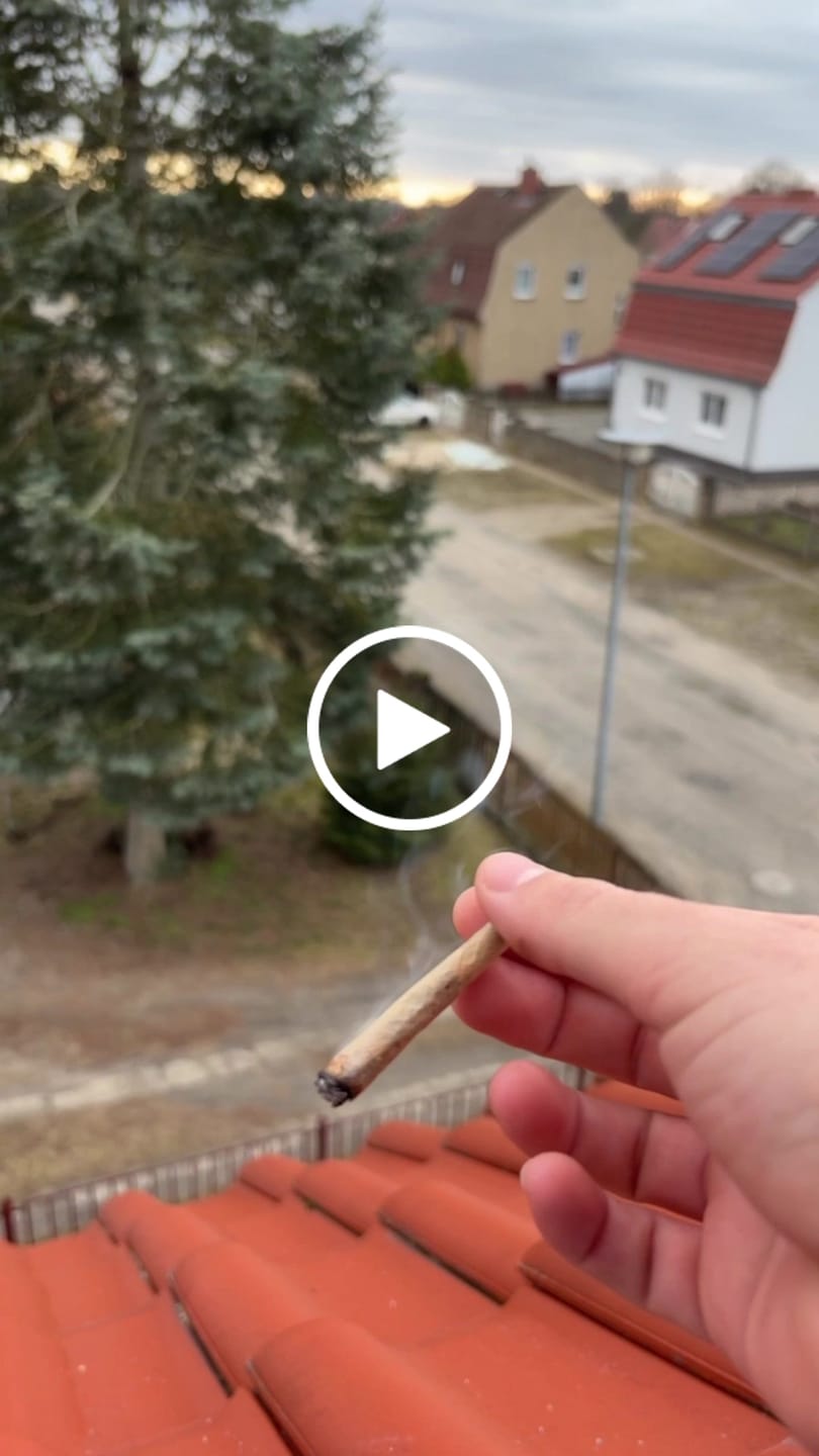 Customer video review of 🏜️ Nomad’s Dream Hasch - Power LVL: 5/5