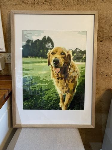 Customer photo review of Custom Paint by Numbers
