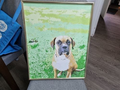 Customer photo review of Custom Paint by Numbers