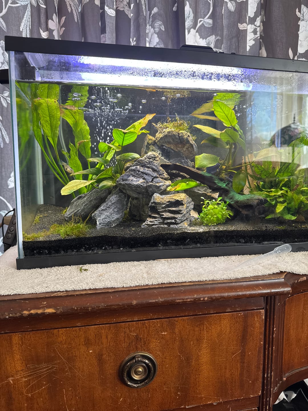 Customer photo review of Amazon Sword