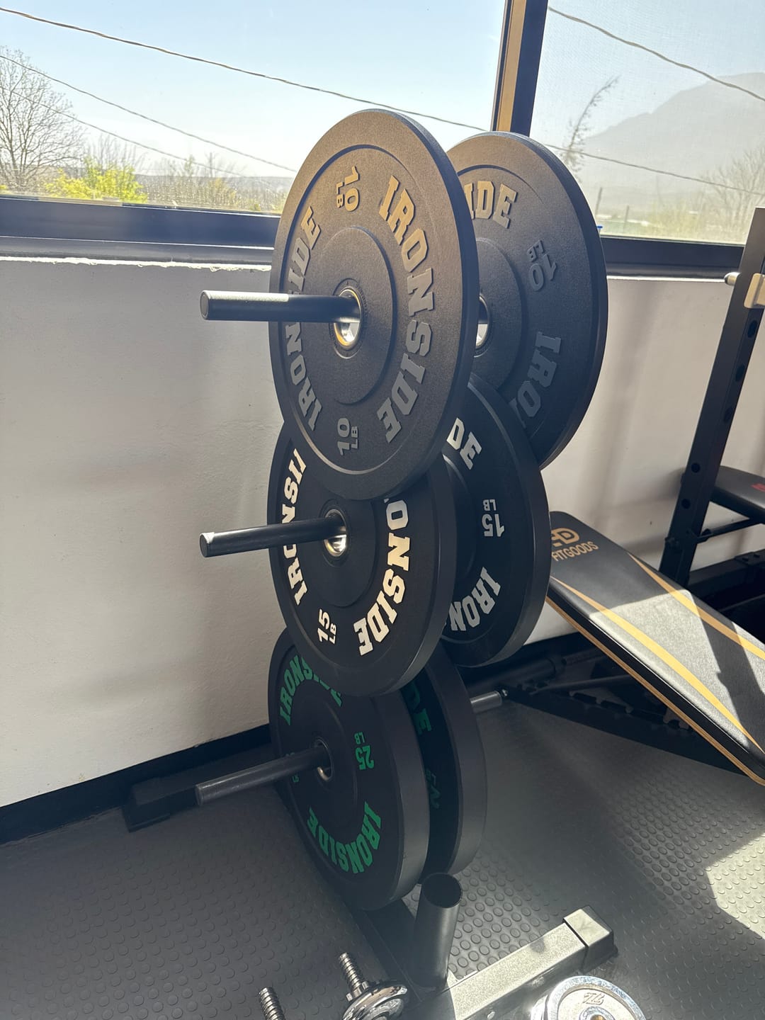 Customer photo review of Discos Pro Bumper IRONSIDE 10 - 45 Lb