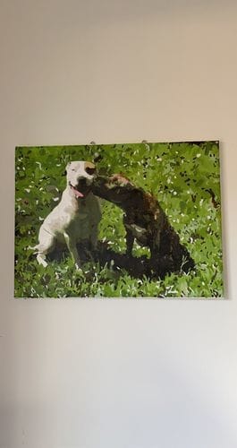 Customer photo review of Custom Paint by Numbers