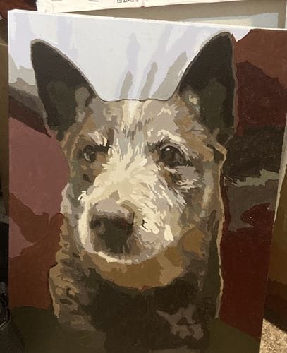 Customer photo review of Custom Paint by Numbers