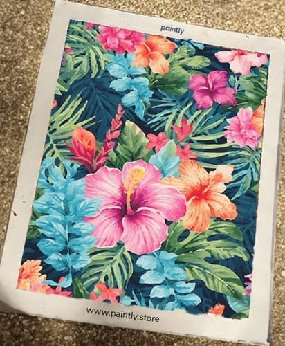 Customer photo review of Hula Hues (Paint by Numbers)