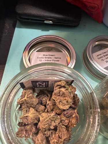 Customer photo review of Sunrise to Sunset Exotic Smalls Bundle