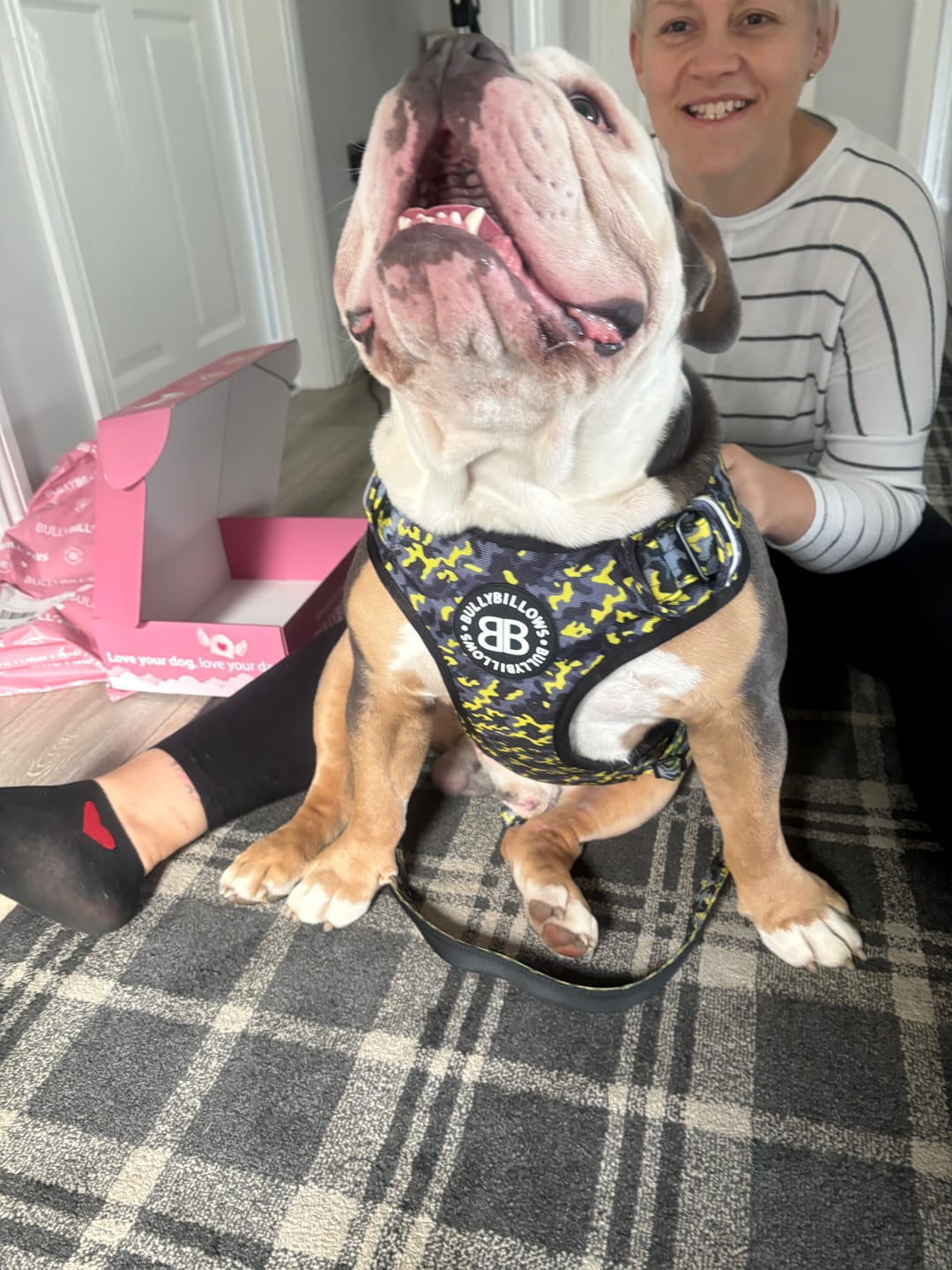 Customer photo review of Comfort Premium Harness | Non Restrictive - Lightning