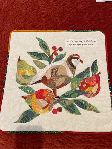 Customer photo review of Winter Cardinal Downloadable Pattern