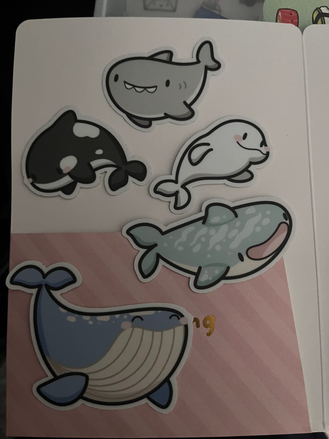 Customer photo review of Deep Blue Sea Die Cut Stickers