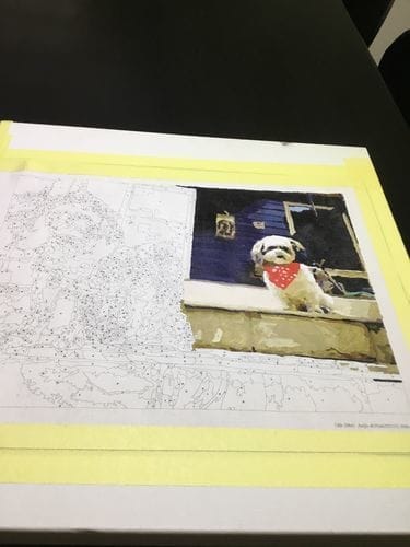 Customer photo review of Custom Paint by Numbers