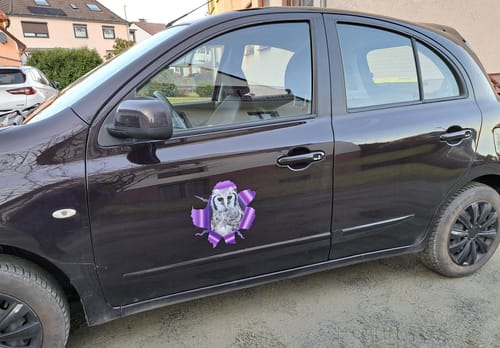 Customer photo review of Spähendes Foto - Individueller Autoaufkleber