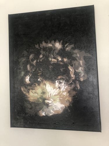 Customer photo review of Custom Paint by Numbers