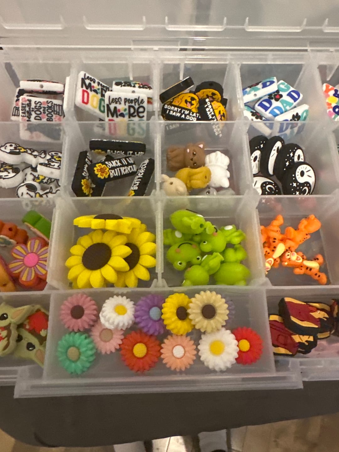 Customer photo review of Pay Your Basket for the Live sale ( Pls read description)