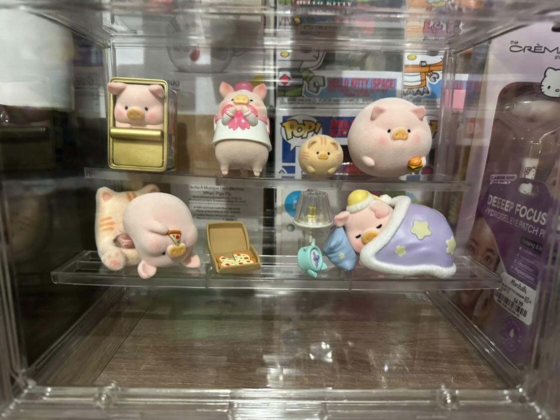 Customer photo review of LuLu The Piggy Stay With You Series Blind Box