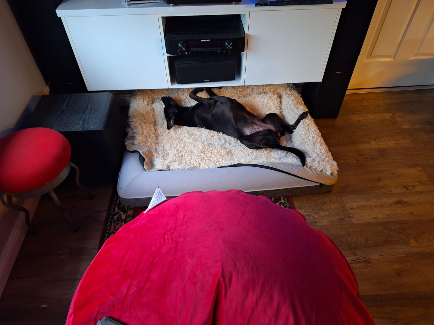 Customer photo review of Kangaroo Bed - Medium