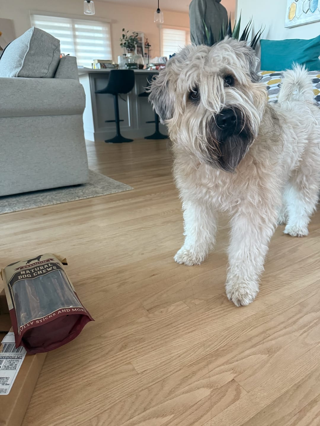 Customer photo review of 12 Inch Beef Jerky Stick