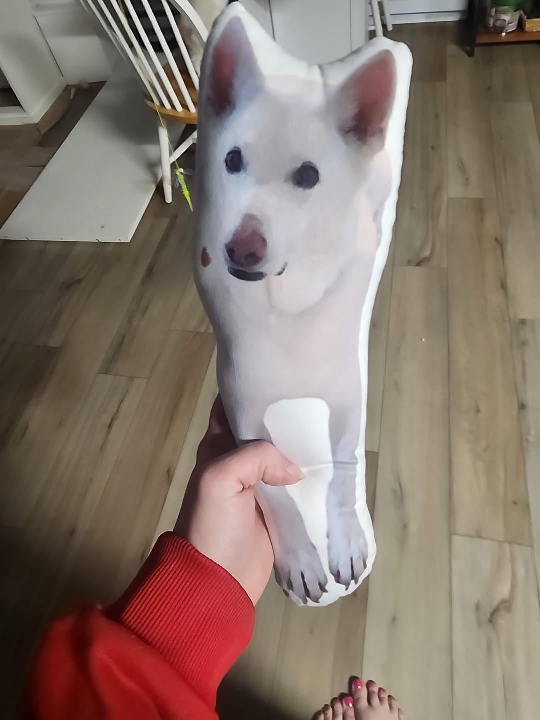 Customer photo review of Custom Pet Shaped Pillow that Look Like your Pet - ThePetPillow