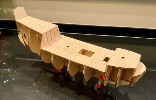 Customer photo review of Cisne Negro Maqueta