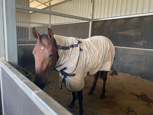 Customer photo review of Amigo Helix Allrounder Disc Front