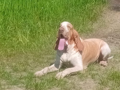 Customer photo review of Perfect Weight