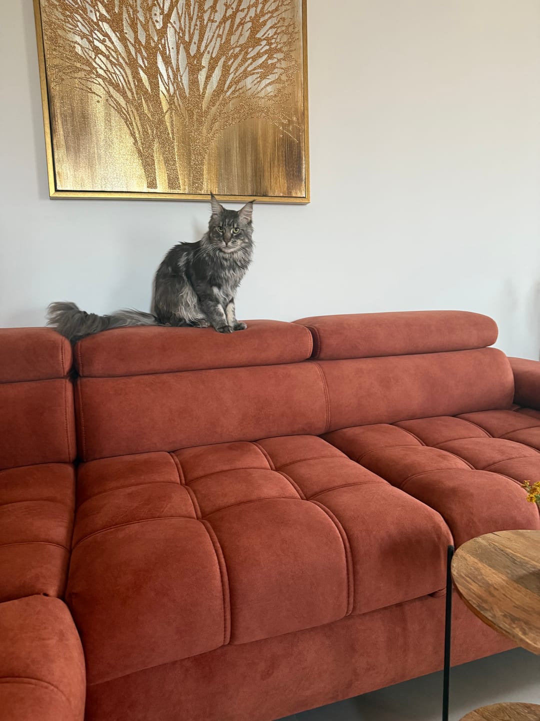 Customer photo review of Coltar extensibil SELVA MINI, personalizabil materiale gama Premium, cu lada depozitare si tetiere reglabile, 270x173x95 cm