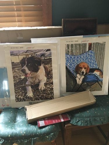 Customer photo review of Custom Paint by Numbers