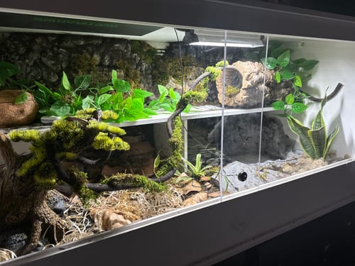 Customer photo review of XT4 BIO24 (48Lx24Dx24H) - STACKABLE